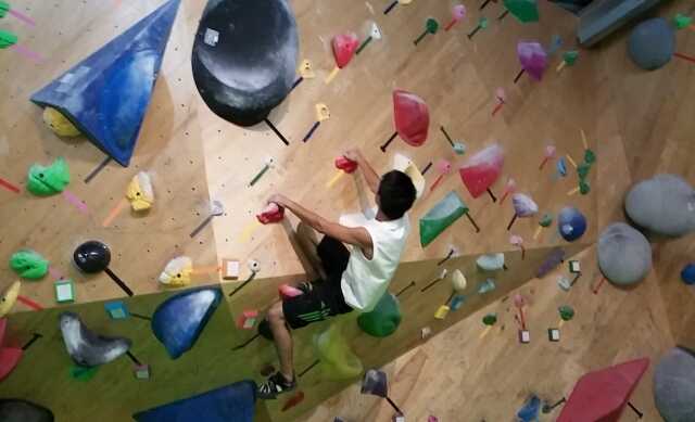 twall (1)
