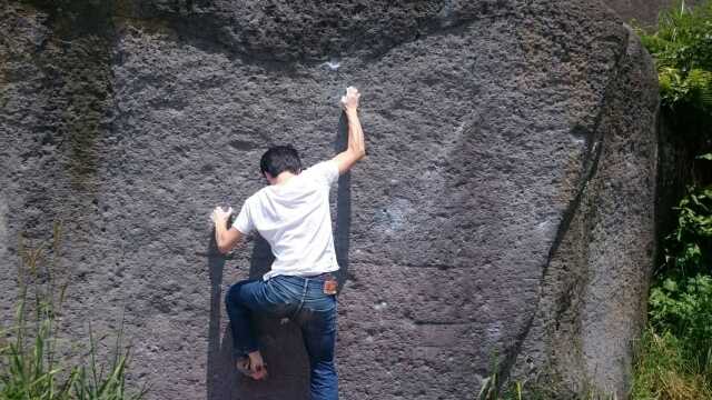 twall (25)