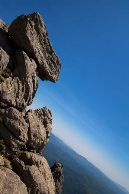 twall (48)