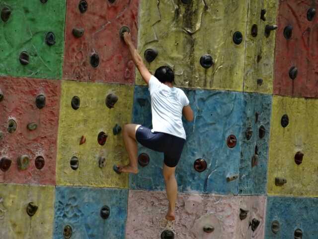 twall-8