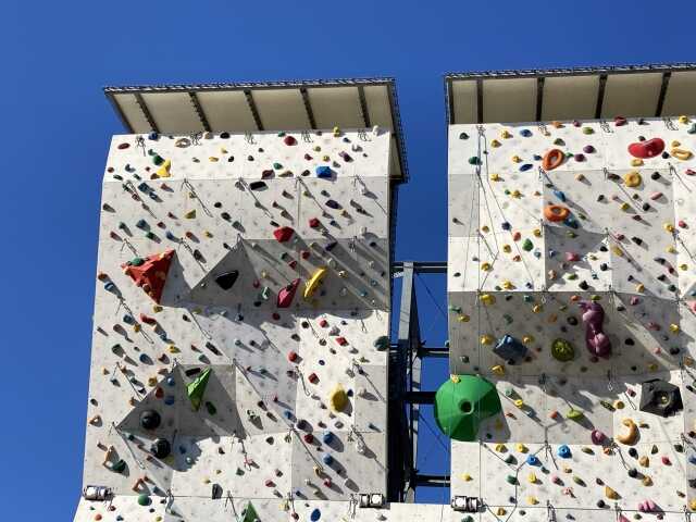 twall (9)