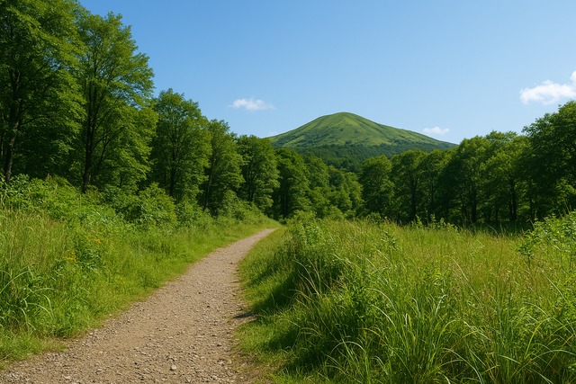 meadow-trail-peak