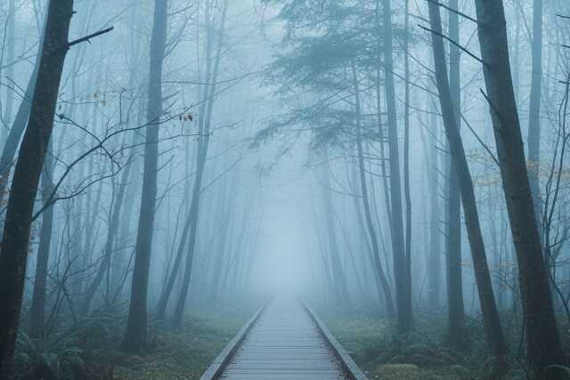 mountain climbing (5)